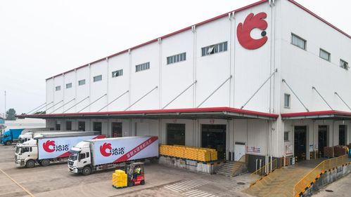 走進洽洽透明工廠 探訪一顆堅果蘊藏的新質生產力